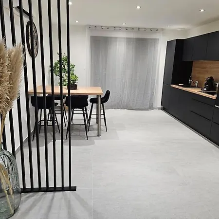 公寓 Des Ducs Loft 2 巴勒迪克